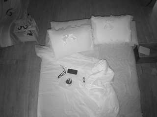 voyeurcam-celticiron-01