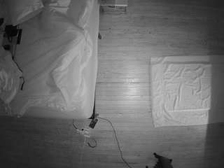 voyeurcam-CelticIRON-01