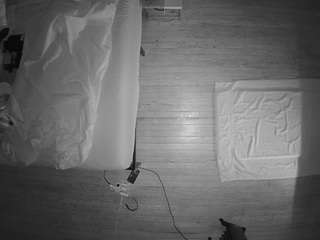 voyeurcam-celticiron-01