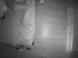 voyeurcam-celticiron-01