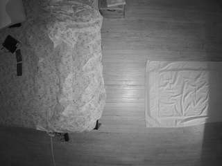 voyeurcam-CelticIRON-01