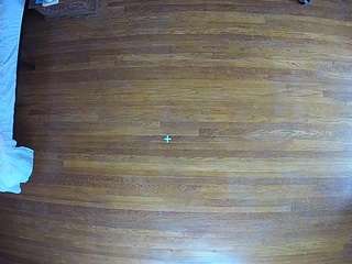 voyeurcam-CelticIRON-01