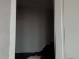 althenahance camsoda