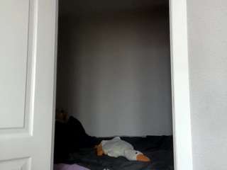 Thea live webcam show