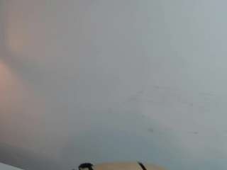 xhotdesire-fx's live room