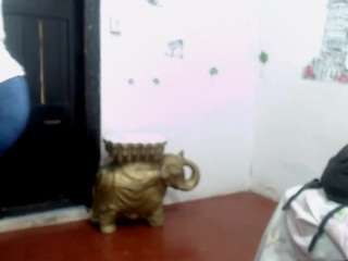 panteravagina webcam