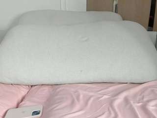 ziraswan
