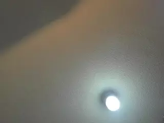 julietha-evanss's Live Sex Cam Show