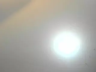 julietha-evanss's Live Sex Cam Show
