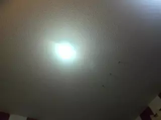 julietha-evanss's Live Sex Cam Show