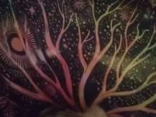 dreaminn