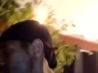 jman78040