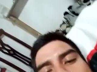 Elcarever