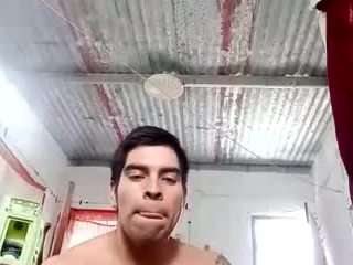 Elcarever