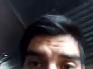 Elcarever