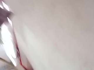 Elcarever