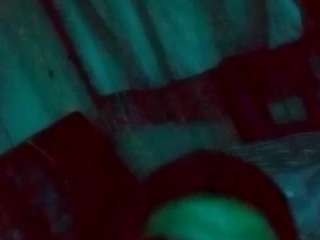 Elcarever