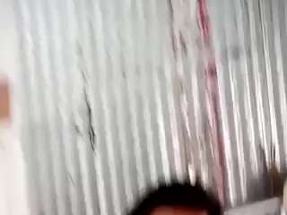 Elcarever
