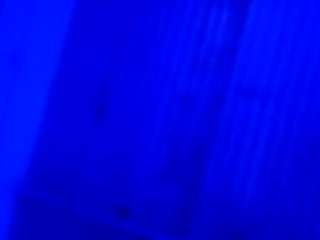  wackyeuphoria chat room