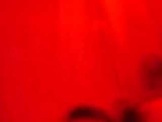 Elcarever