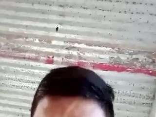 Elcarever