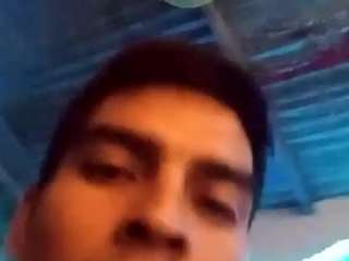 Elcarever