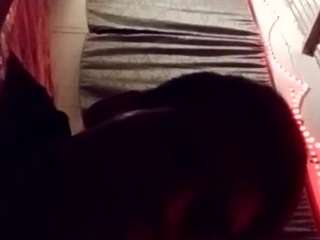 Elcarever