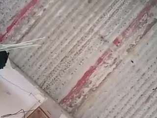 wackyeuphoria Live Webcam on CamSoda