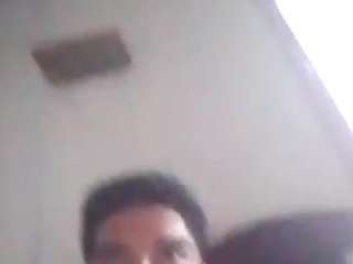 Elcarever