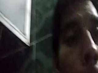 Elcarever