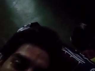 Elcarever