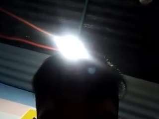 Elcarever