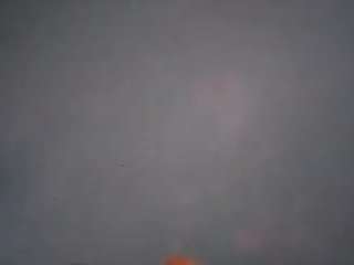 Elcarever