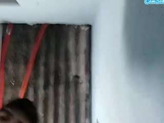 Elcarever