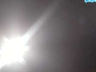 Elcarever