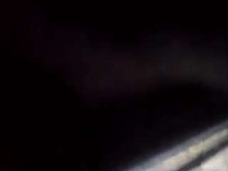 Elcarever