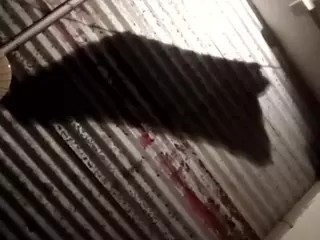 Elcarever's Live Sex Cam Show