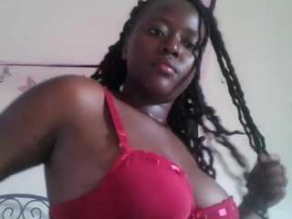 254babes