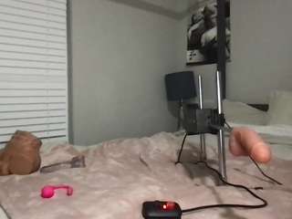 honeysuckles2 webcam