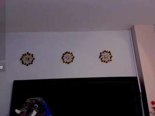 thomastwink webcam