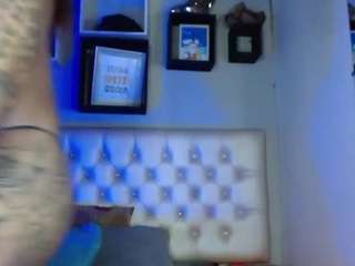 aleja-dolly webcam