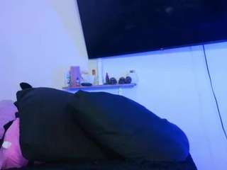 aleja-dolly webcam