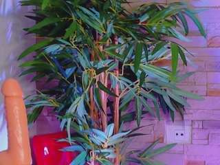 helenceccile