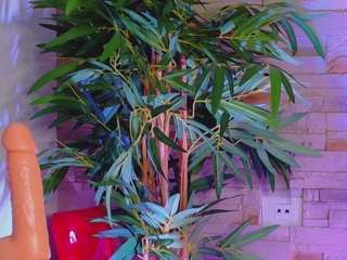 helenceccile