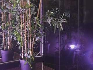 helenceccile