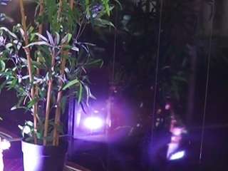 helenceccile