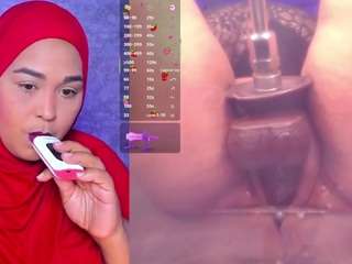 bbwhijab
