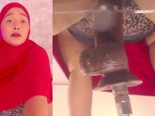 bbwhijab