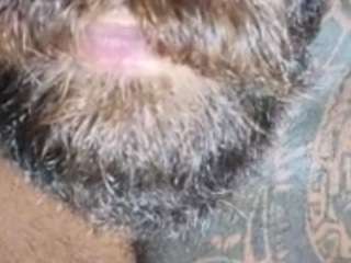 moodym8 Sex Cam Show