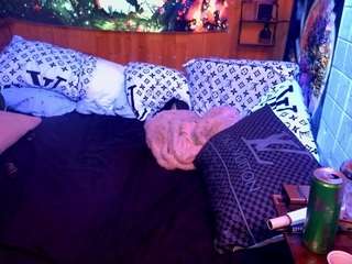 acampbells604 Live Webcam on CamSoda